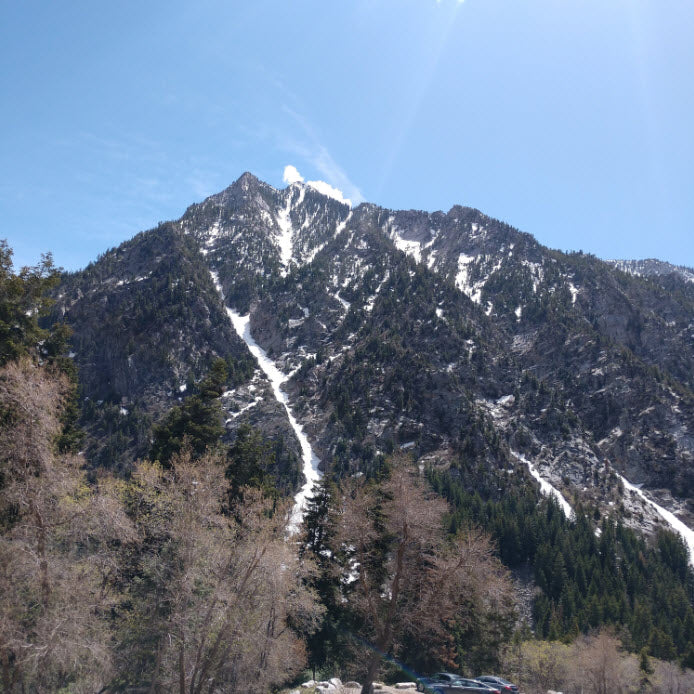 Utah's Y Couloir May 2019
