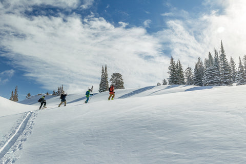 Daymaker vs CAST Freetour: Touring on Your Alpine Binding